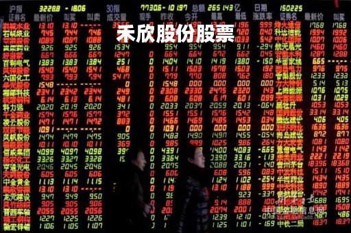 禾欣股份股票