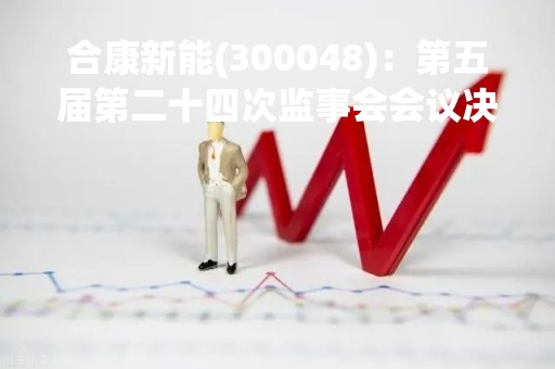 合康新能(300048)：第五届第二十四次监事会会议决议，3项议案获通过