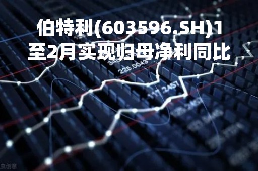 伯特利(603596.SH)1至2月实现归母净利同比增长约17.03%