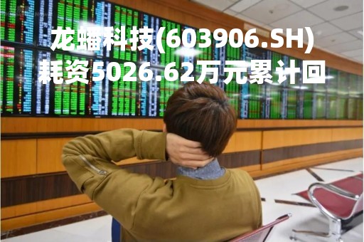 龙蟠科技(603906.SH)耗资5026.62万元累计回购208.24万股