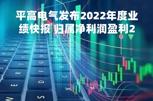 平高电气发布2022年度业绩快报 归属净利润盈利2.121亿元