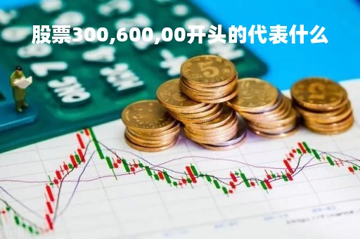 股票300,600,00开头的代表什么
