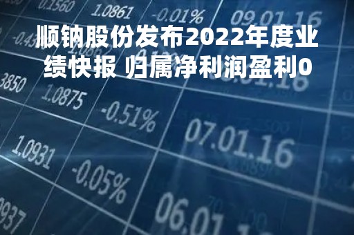 顺钠股份发布2022年度业绩快报 归属净利润盈利0.315亿元