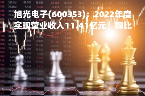 旭光电子(600353)：2022年度实现营业收入11.41亿元，同比增加13.36%
