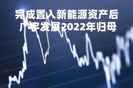 完成置入新能源资产后 广宇发展2022年归母净利涨逾300%至6.33亿
