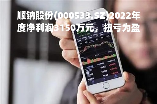 顺钠股份(000533.SZ)2022年度净利润3150万元，扭亏为盈