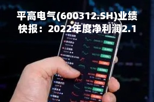 平高电气(600312.SH)业绩快报：2022年度净利润2.12亿元、同比增加199.68%