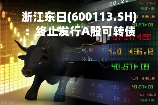 浙江东日(600113.SH)：终止发行A股可转债
