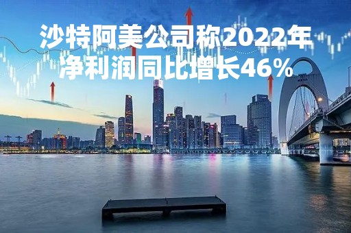 沙特阿美公司称2022年净利润同比增长46%