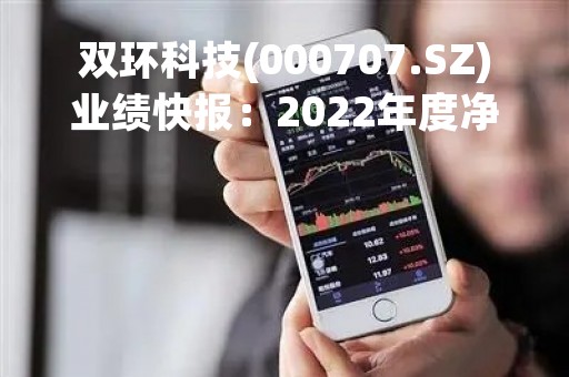 双环科技(000707.SZ)业绩快报：2022年度净利润8.73亿元、同比增长106.58%