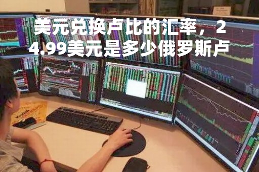 美元兑换卢比的汇率，24.99美元是多少俄罗斯卢比