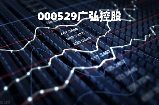 000529广弘控股