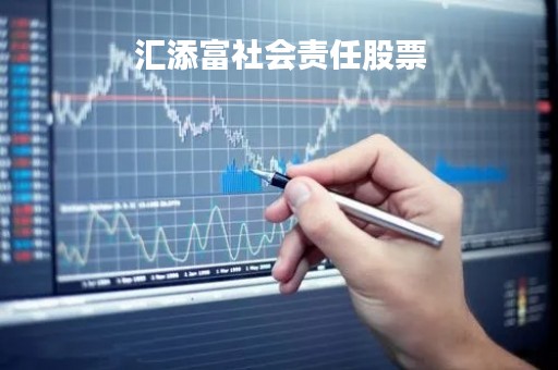 汇添富社会责任股票