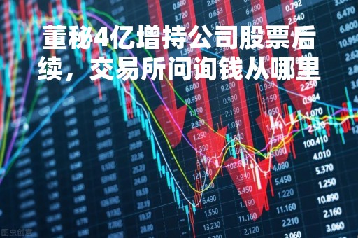 董秘4亿增持公司股票后续，交易所问询钱从哪里来？