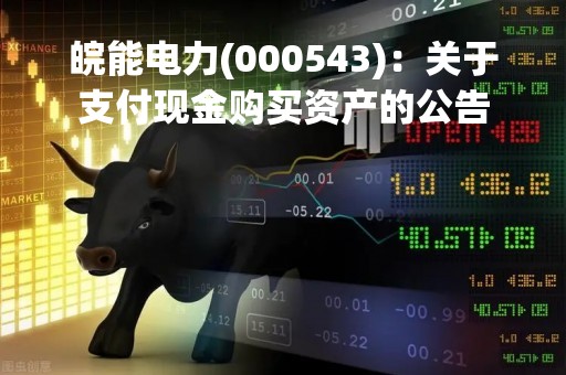 皖能电力(000543)：关于支付现金购买资产的公告