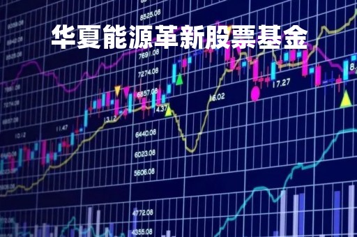华夏能源革新股票基金