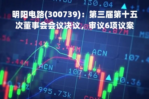 明阳电路(300739)：第三届第十五次董事会会议决议，审议6项议案获通过