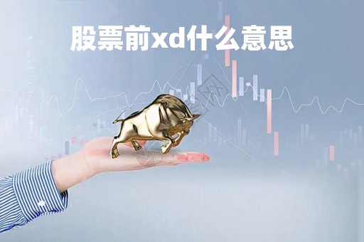 股票前xd什么意思