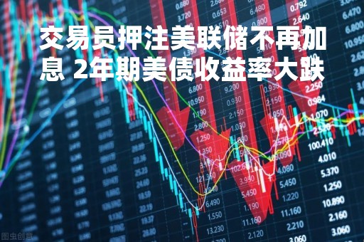 交易员押注美联储不再加息 2年期美债收益率大跌