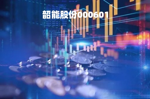 韶能股份000601
