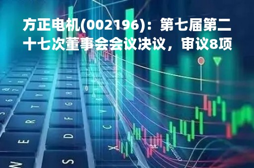 方正电机(002196)：第七届第二十七次董事会会议决议，审议8项议案获通过