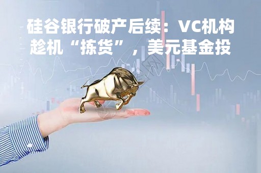 硅谷银行破产后续：VC机构趁机“拣货”，美元基金投资生变