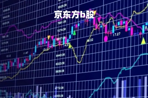 京东方b股