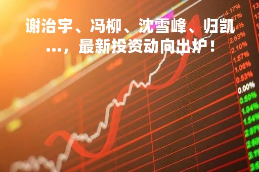 谢治宇、冯柳、沈雪峰、归凯…，最新投资动向出炉！