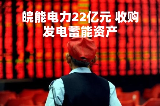 皖能电力22亿元 收购发电蓄能资产