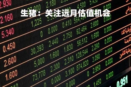 生猪：关注远月估值机会