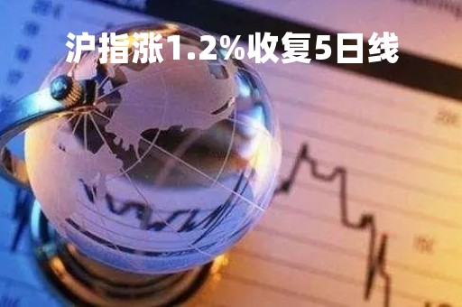 沪指涨1.2%收复5日线