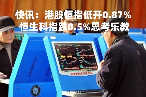 快讯：港股恒指低开0.87% 恒生科指跌0.5%思考乐教育涨近7%