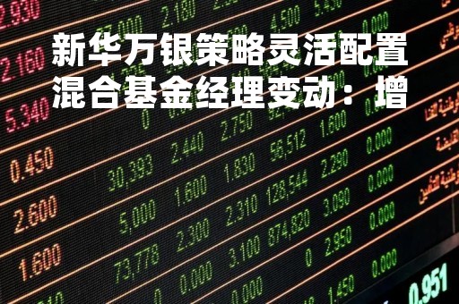 新华万银策略灵活配置混合基金经理变动：增聘邓岳为基金经理