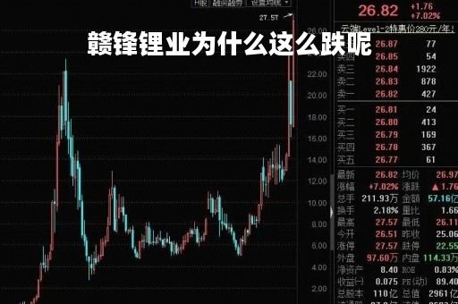 赣锋锂业为什么这么跌呢