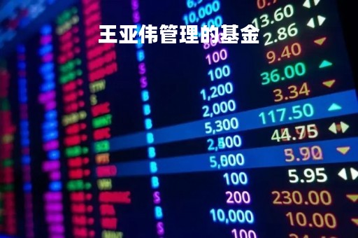 王亚伟管理的基金