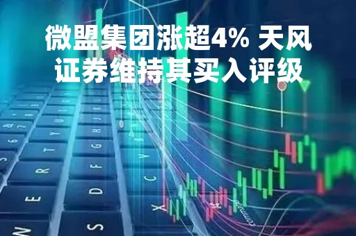 微盟集团涨超4% 天风证券维持其买入评级