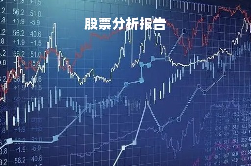 股票分析报告
