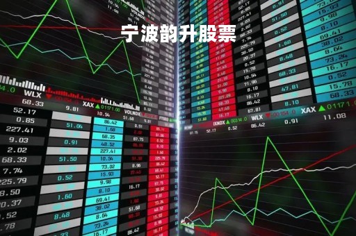 宁波韵升股票