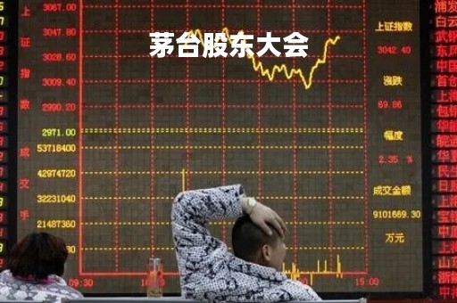 茅台股东大会