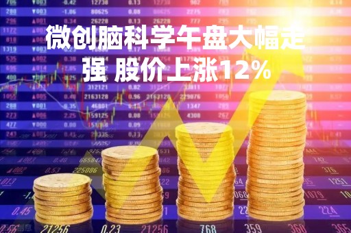 微创脑科学午盘大幅走强 股价上涨12%