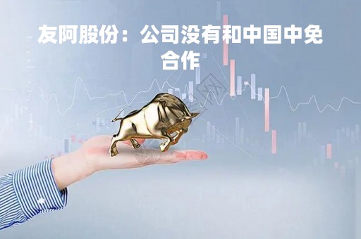 友阿股份：公司没有和中国中免合作