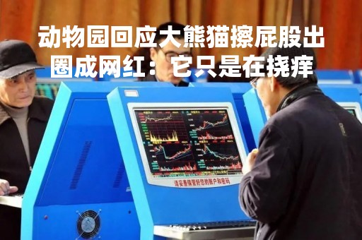 动物园回应大熊猫擦屁股出圈成网红：它只是在挠痒