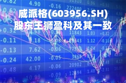威派格(603956.SH)股东王狮盈科及其一致行动人减持期过半 已减持505万股