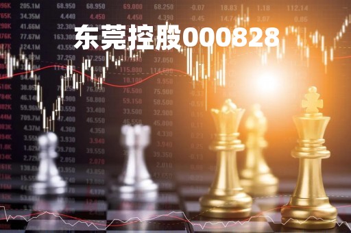 东莞控股000828