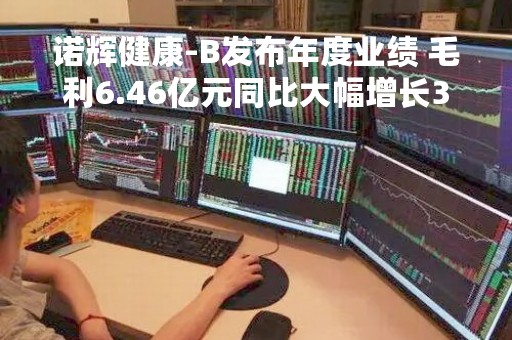 诺辉健康-B发布年度业绩 毛利6.46亿元同比大幅增长317.84%