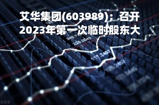 艾华集团(603989)：召开2023年第一次临时股东大会，审议4项议案
