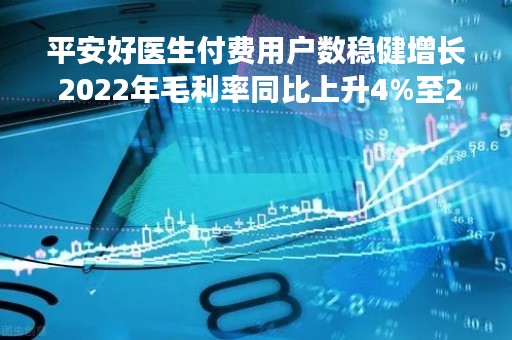 平安好医生付费用户数稳健增长 2022年毛利率同比上升4%至27.3%
