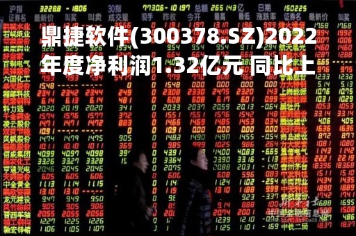 鼎捷软件(300378.SZ)2022年度净利润1.32亿元 同比上升17.34%