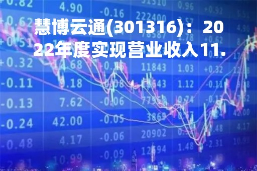 慧博云通(301316)：2022年度实现营业收入11.84亿元，同比增加28.93%