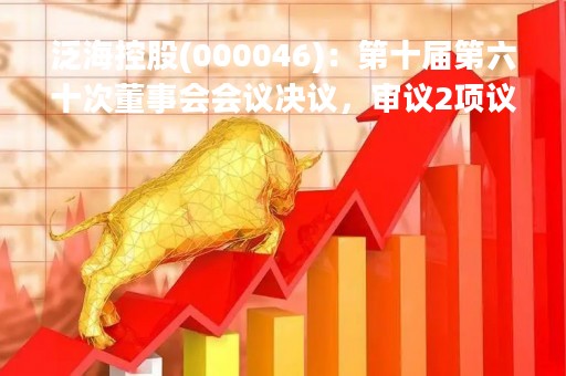泛海控股(000046)：第十届第六十次董事会会议决议，审议2项议案获通过